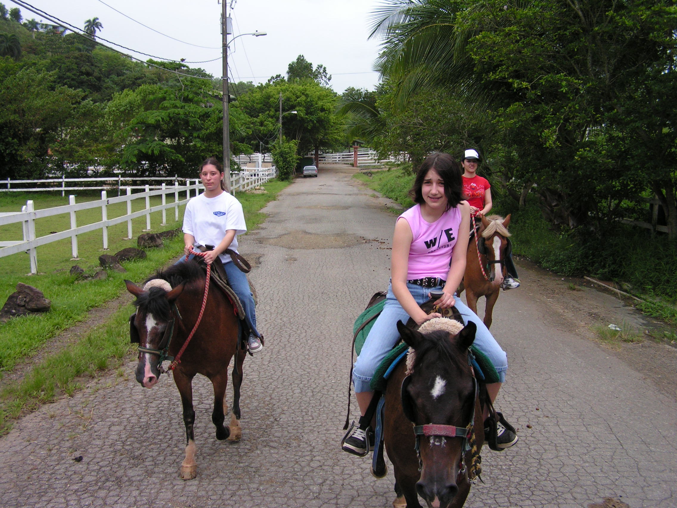./2005/Puerto Rico/Part 1/PICT0300.JPG